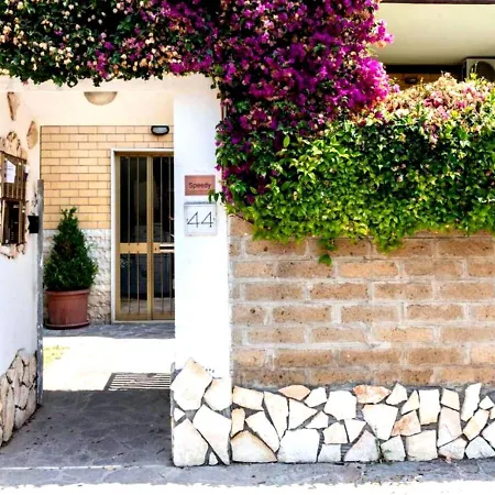 Apartment Garden Basement - Seminterrato - Airport